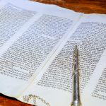 פליידגוגיה