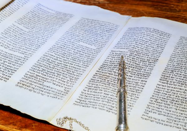 פליידגוגיה